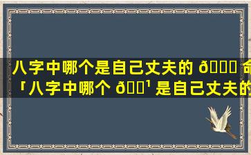 八字中哪个是自己丈夫的 🐋 命「八字中哪个 🌹 是自己丈夫的命格」